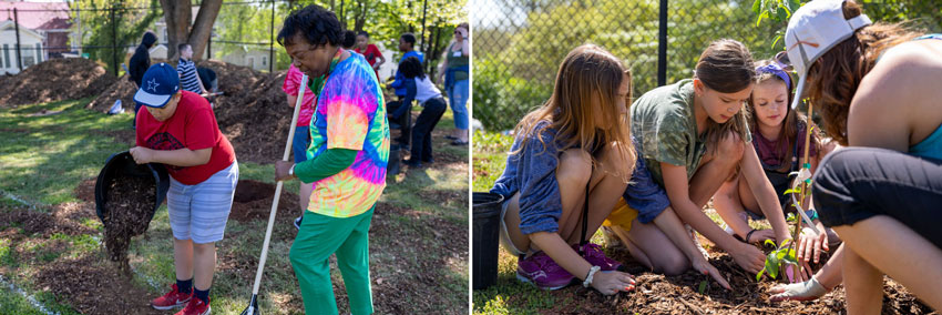 Two photos of students and adults working to plant garden