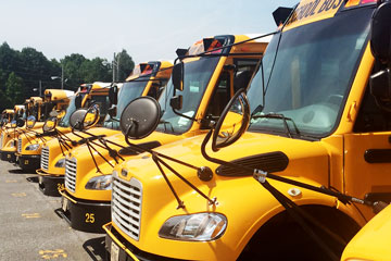 Buses parked in a row